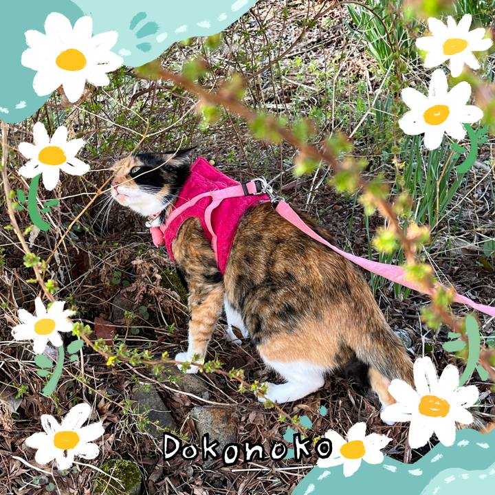 B2b955c9 4f61 4485 9be0 7cda40e57c01 1712759287637