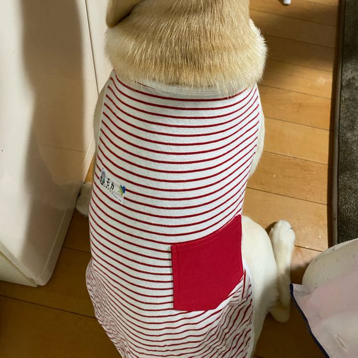 B2b96142 a0df 4c4d 9d0a 318645071b48 1620392225927