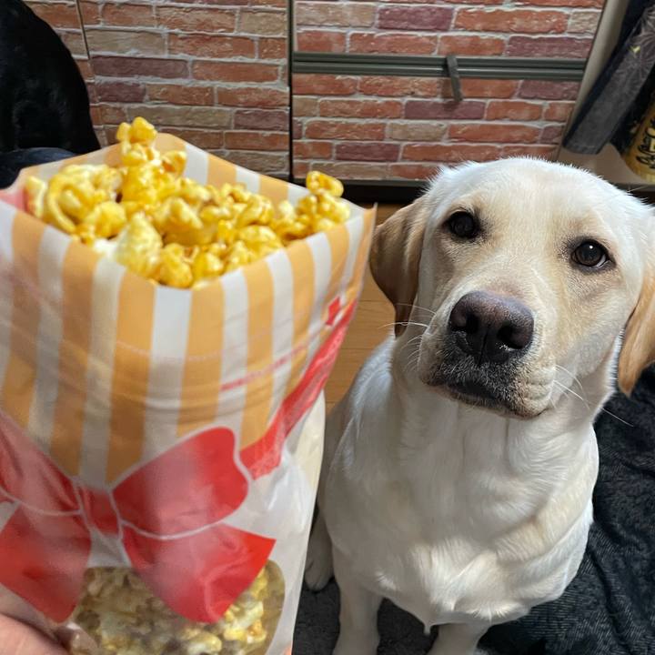 B2b973ab 1fe4 4e79 8a46 ab52cbce246f 1647072083347