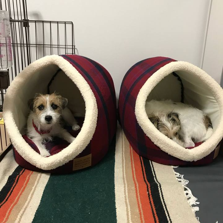 B2ba3c27 0b3c 435e 9230 87fb7e474ae1 1763385744211