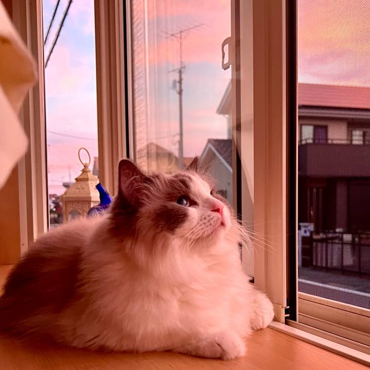 B2ba5755 91ce 4ca0 b610 53aa24fd9491 1760947079127