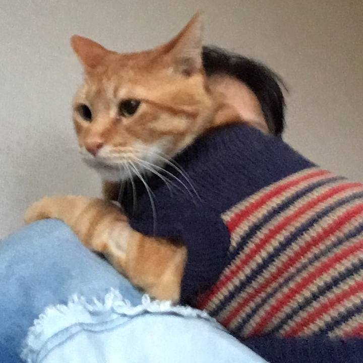 B2ba6036 93f5 42a1 827b 9283d49e3b88 1541366557178