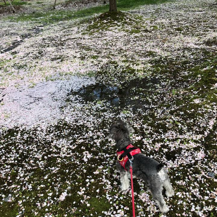 B2ba69a9 bd9d 472a aa38 c53a959a48a4 1523179018356