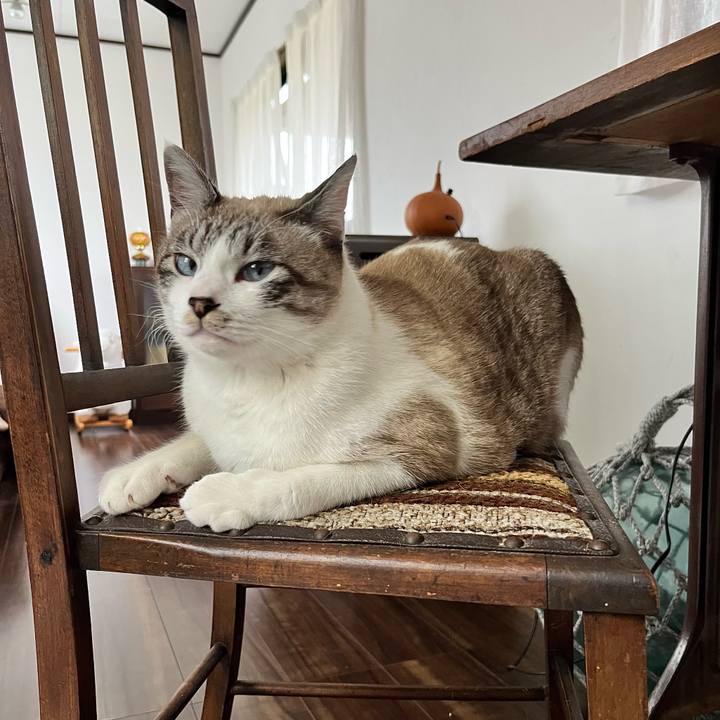 B2ba6a14 d81b 4f98 8d11 ce7ed64fe162 1764753009717