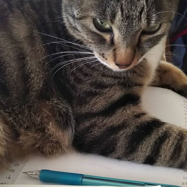 B2bb02ab be09 4a05 94cd 973d729e9a54 1613711804546