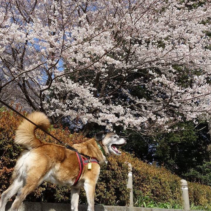 B2bb199b da26 4c48 a83e 7ff504a44aa0 1648429632505