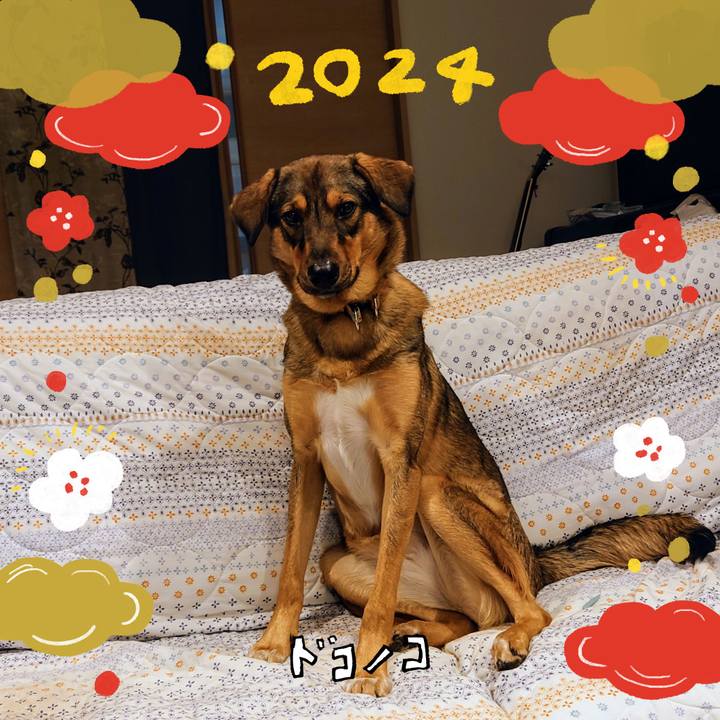 B2bb5442 c540 47a6 abee a39152959fca 1704161328310