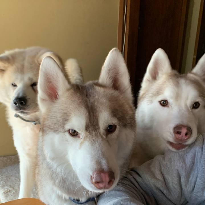 B2bb54ed 06e5 4aab bcf7 24a8e6fadfe9 1613891394564