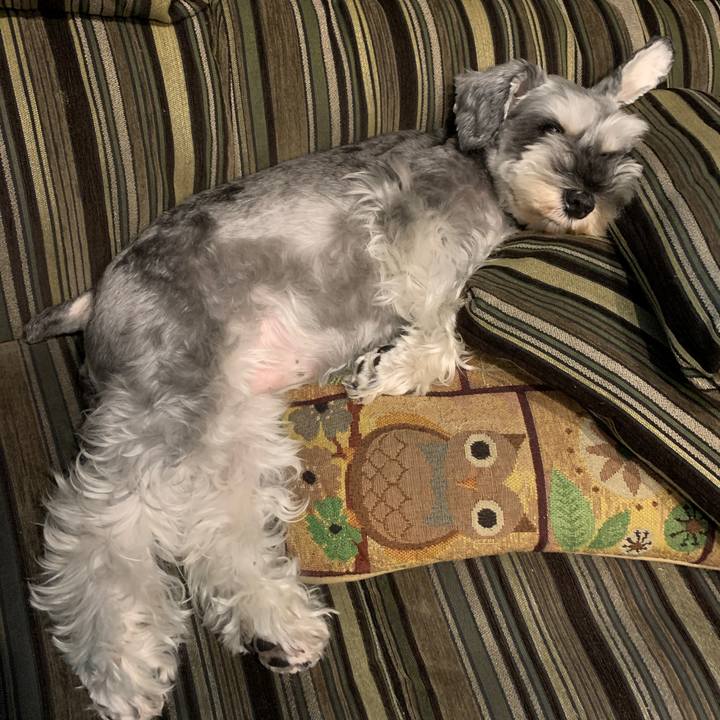 B2bb6814 6a2b 4557 b980 e8a9e3c28e12 1629007630766