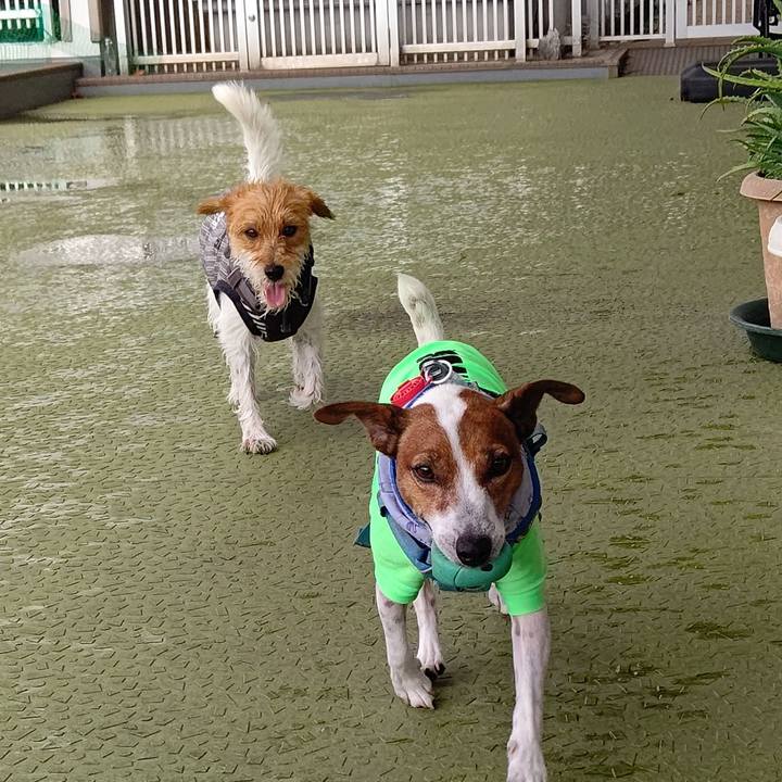 B2bb7c08 1c9e 43ea 95d1 49f253263ab1 1692782189648