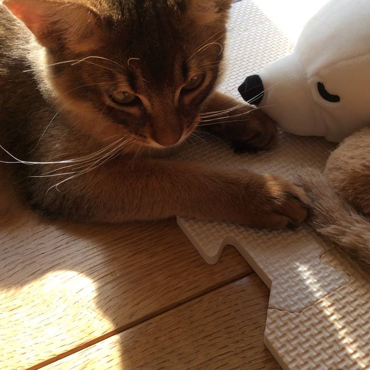 B2bbad9d a577 4956 a931 a4a185ec8633 1574293145048