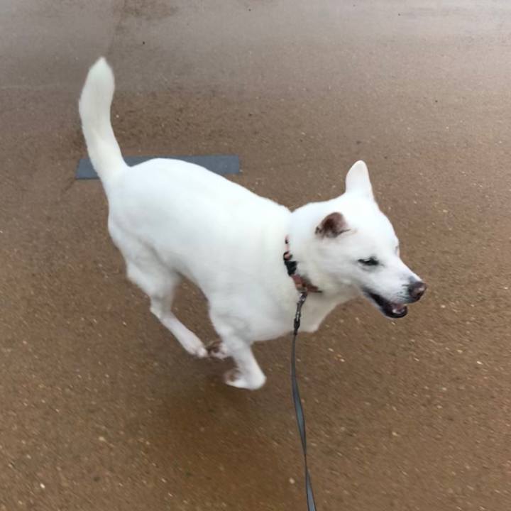 B2bbfff4 94cd 4fb9 995c e4d8a3b6bf26 1529803888710