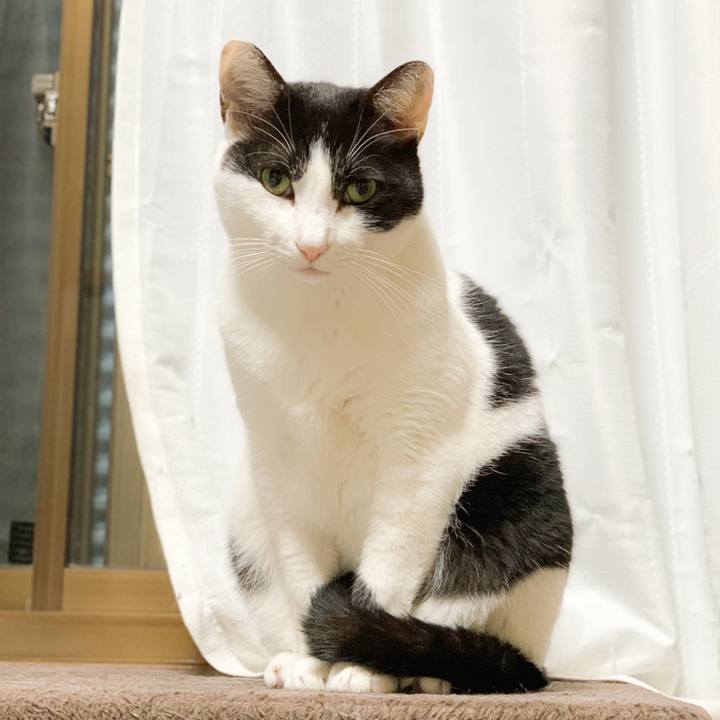 B2bc25c2 9407 492a bdd8 c4d7c83fa15d 1576028262919