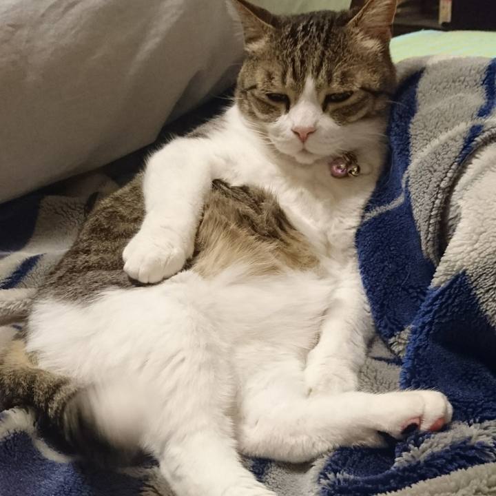 B2bc2658 21d8 4296 9428 58e96aa3d1ed 1523098568981