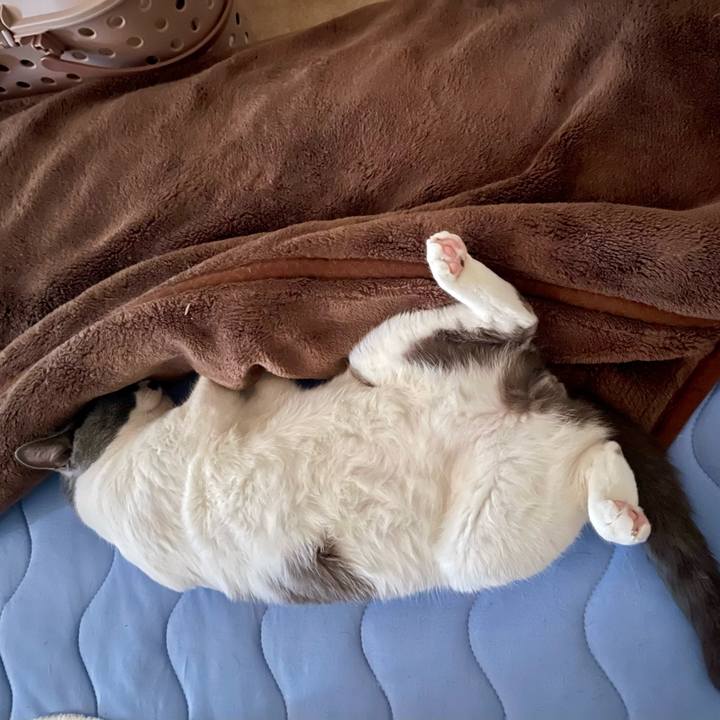 B2bc6541 65ed 4821 97eb 2ffdcc818f5f 1657151381251