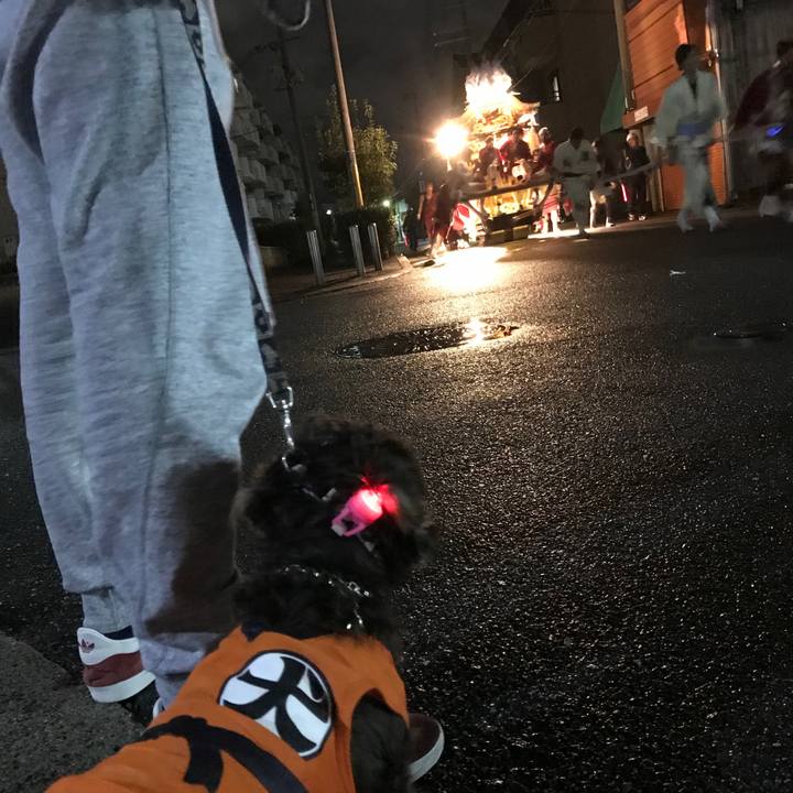 B2bd06cc 2693 49a2 a4c2 3c0cbe4cd597 1509288788367