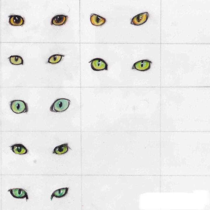 B2bd54a6 ff60 426e 8e8d f7e016a8ff74 1618849744589