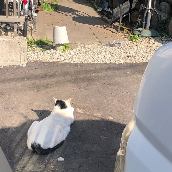 B2bdde09 aaad 471d 9bae d7fe26bb8559 1583134779160