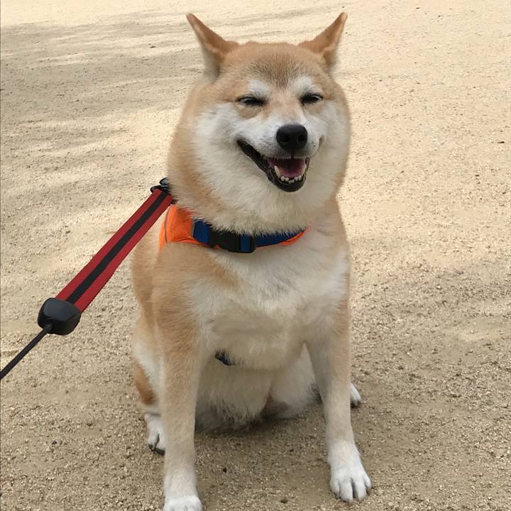 B2bde41f 384f 489a baec 08256c8d5ff7 1530579528404