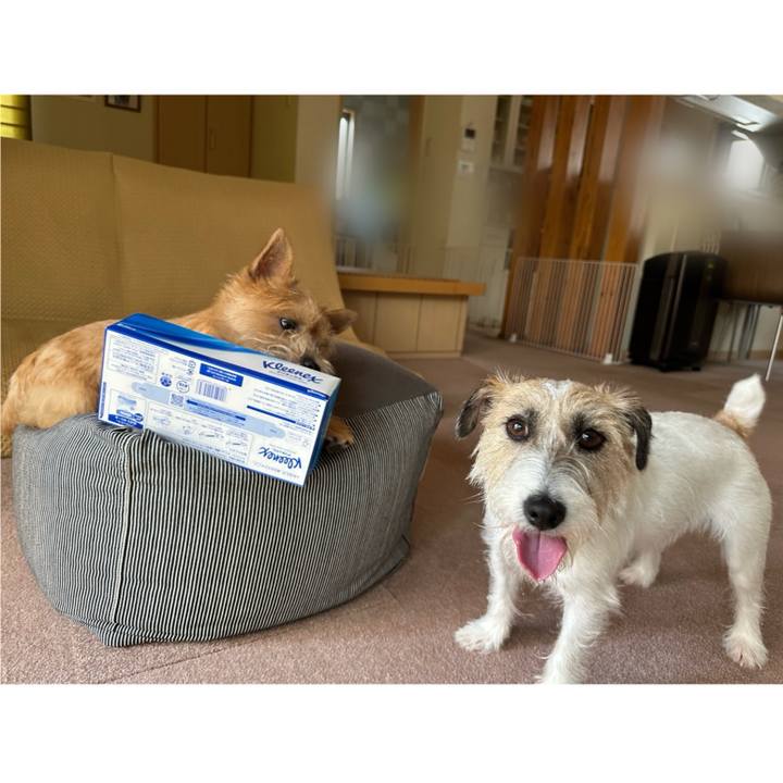 B2be01c4 c8f0 4134 86c5 8513c0594413 1721539183157