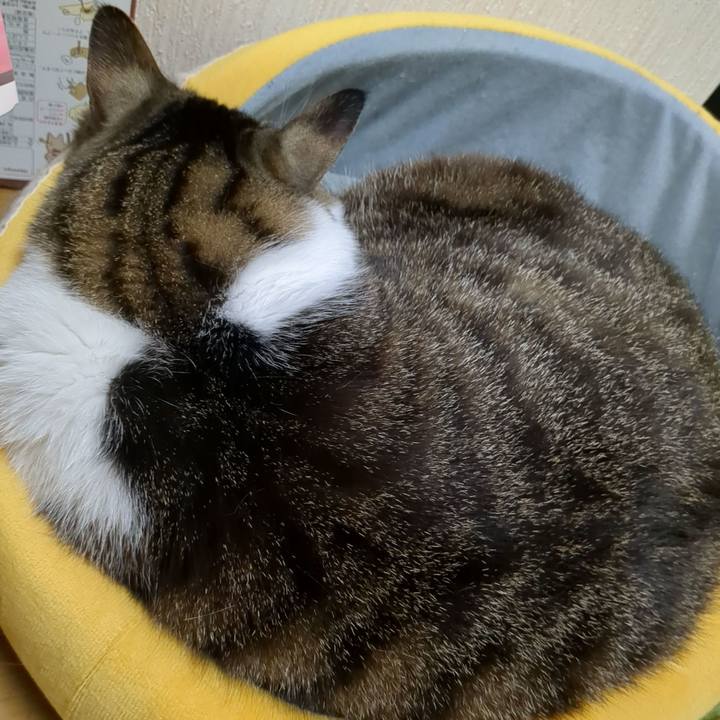 B2be06b3 5fe4 4935 8bf3 1565a1a57d55 1679803255285