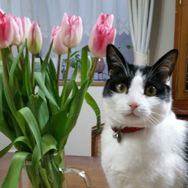 B2be1e01 8e90 4429 8ebc 6547f08de59c 1516146210923