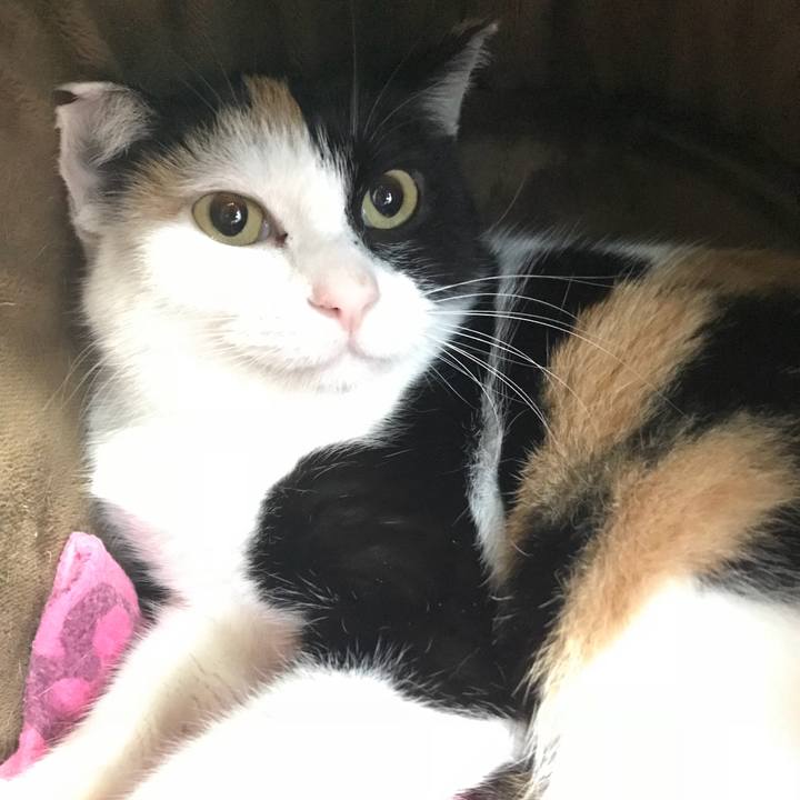 B2be3e0e 1cf1 4f80 83d2 af03261ba0f7 1516145810927