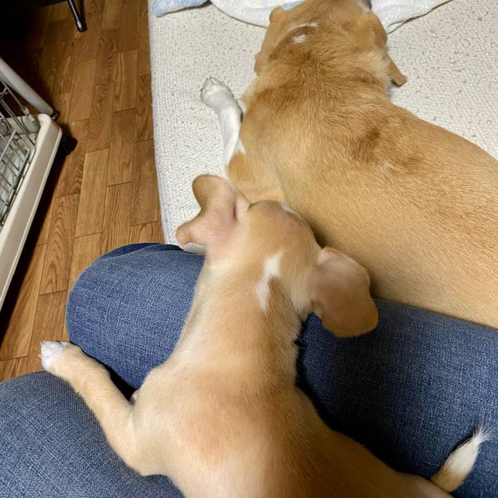 B2be66d4 d3a2 44ff a3eb 65445c38613a 1664358598175