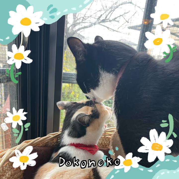 B2be8ffa 935d 4965 85d2 ee78645900ac 1712207737842