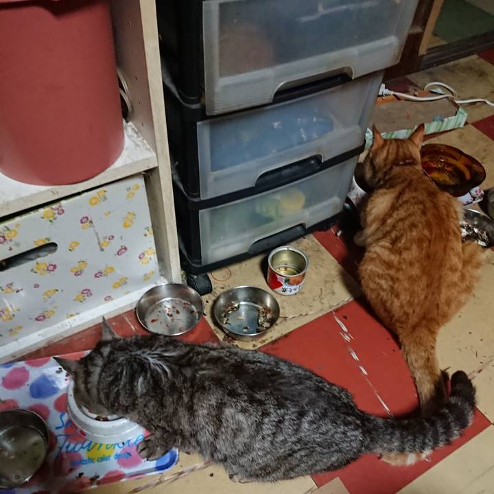 B2be9640 0180 4cf9 b0d7 de607c1a4d6e 1564257880438