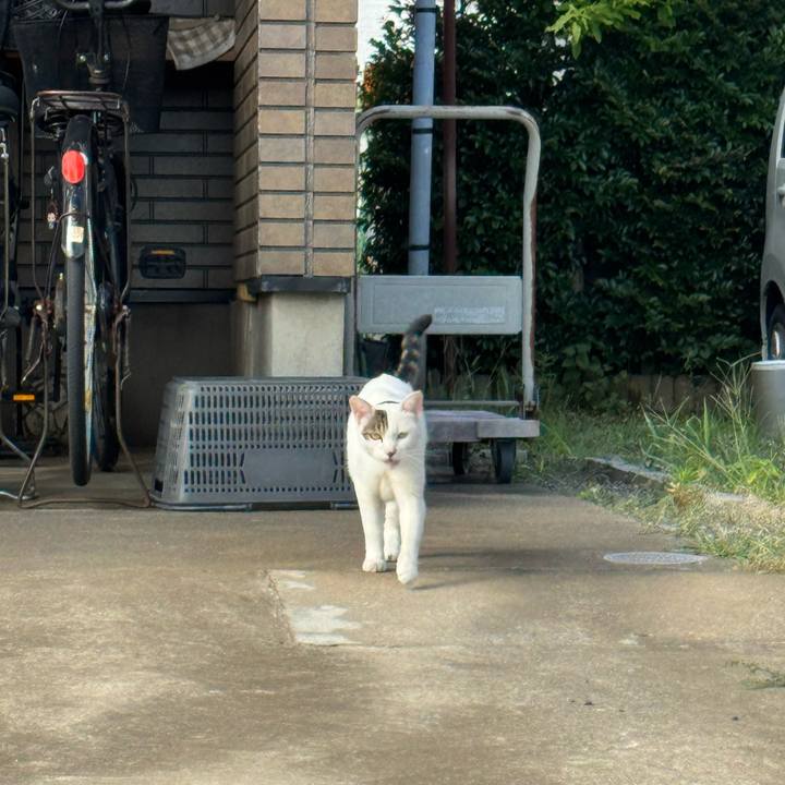 B2bea3e0 96f0 4c3c 8636 6fb8a9b43c0e 1754702460769