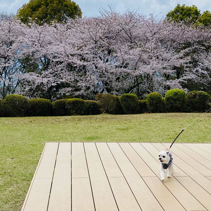 B2bef04c e306 4e18 b6c2 26bcf111ee65 1616914104173