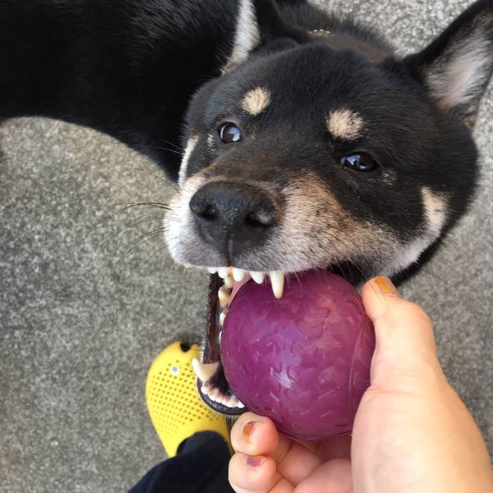 B2bf1245 9ac6 406d 8106 d0616a6f3475 1541643131916