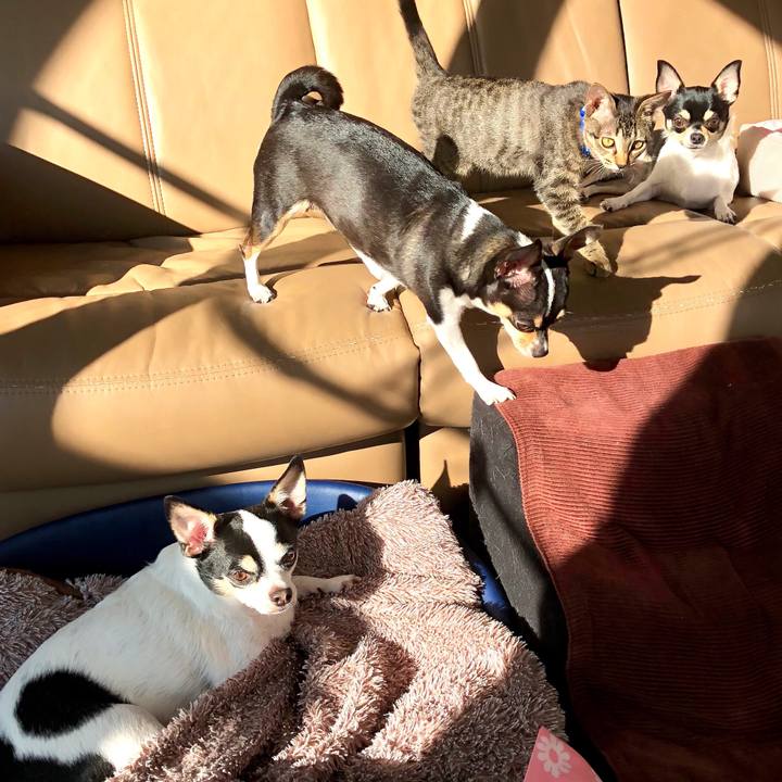 B2bf3128 ffbd 4280 b8a4 4165a23e84e1 1508977950476