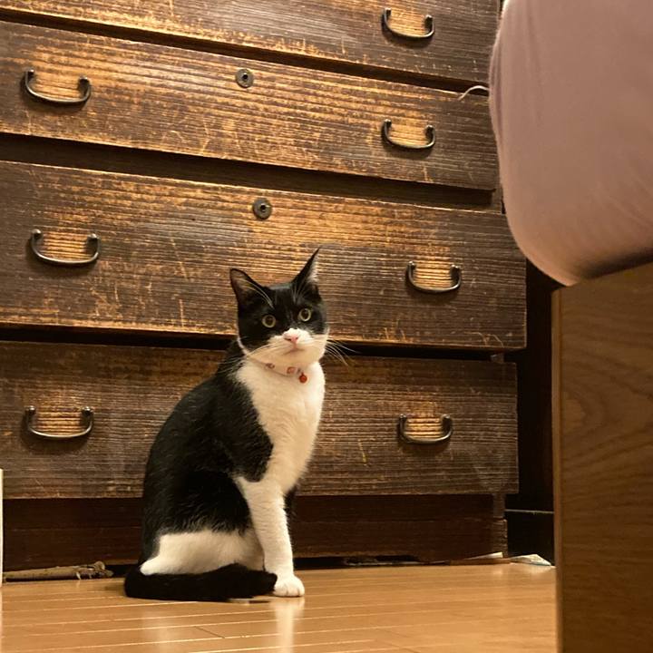 B2bf3c7c cfc1 4ef4 abf0 211fd1e33474 1633490442850