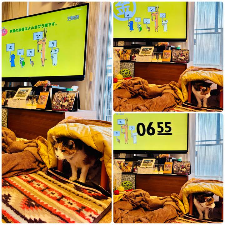 B2bfb4d9 753a 425c b029 07d58936c24d 1739484980142