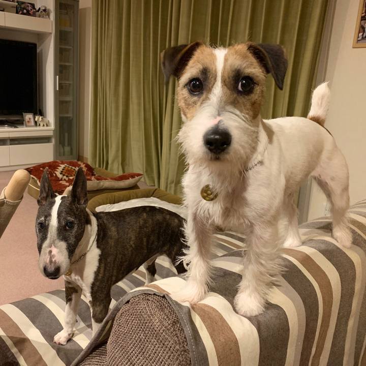 B2bfec18 81e2 41ea bff1 3bdeb47492e5 1586264576295