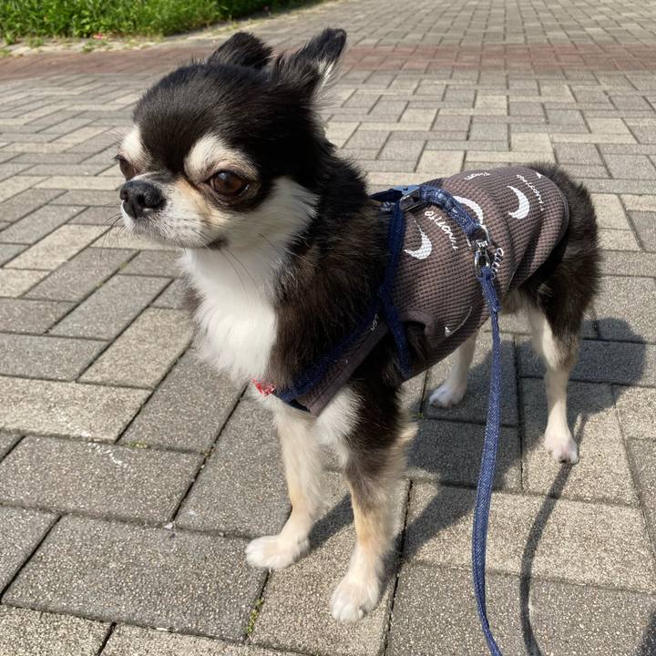 B2bfefb9 d5bb 462b b080 ea808957b958 1682782345982