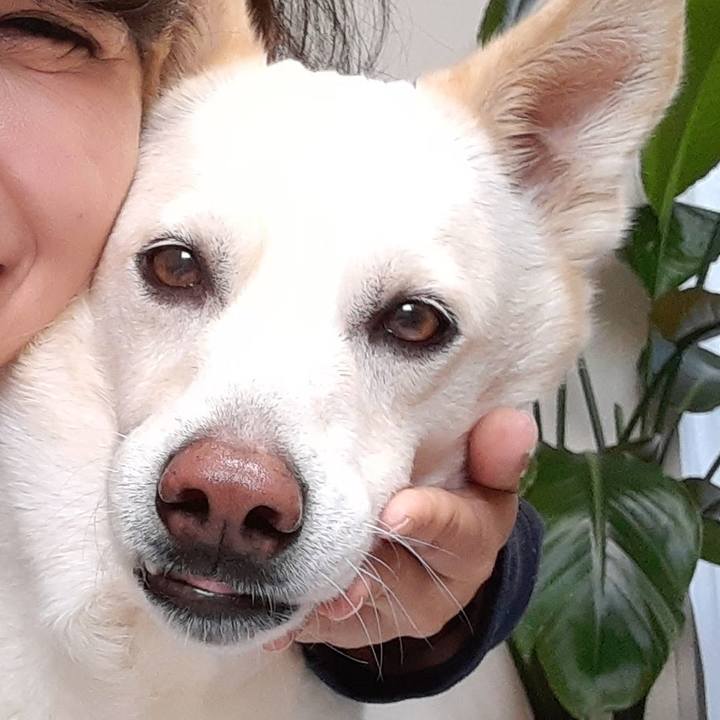 B2c028a8 d1a4 4cc7 8005 1fe85da01d0d 1678495389070