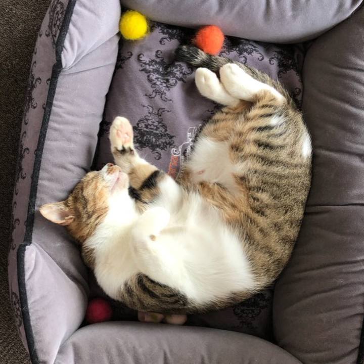 B2c08945 4e79 46bb 8713 1a3a7788ffe6 1597059890133