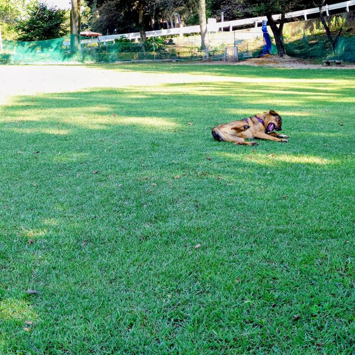 B2c08b86 d44e 4161 b877 a16494b12f34 1757207921289