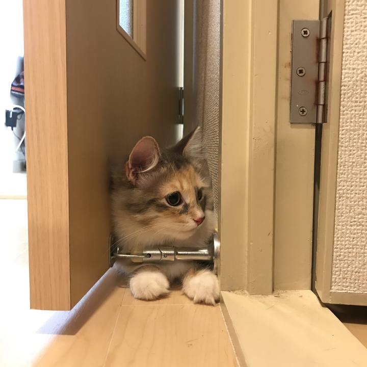 B2c090a9 04b1 4c5b a650 21d088d498b1 1539878282852