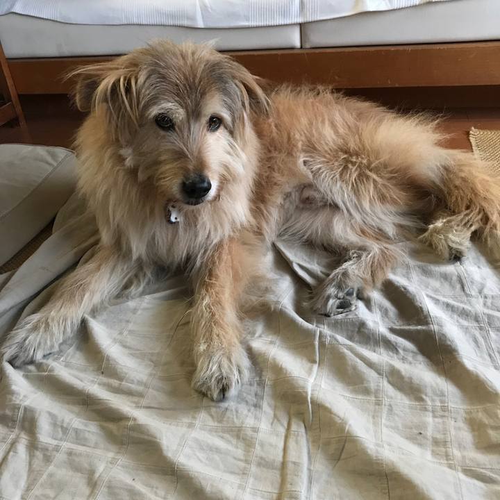 B2c0c4ef a3af 47e5 88b5 fc97c2f460d1 1551044821963