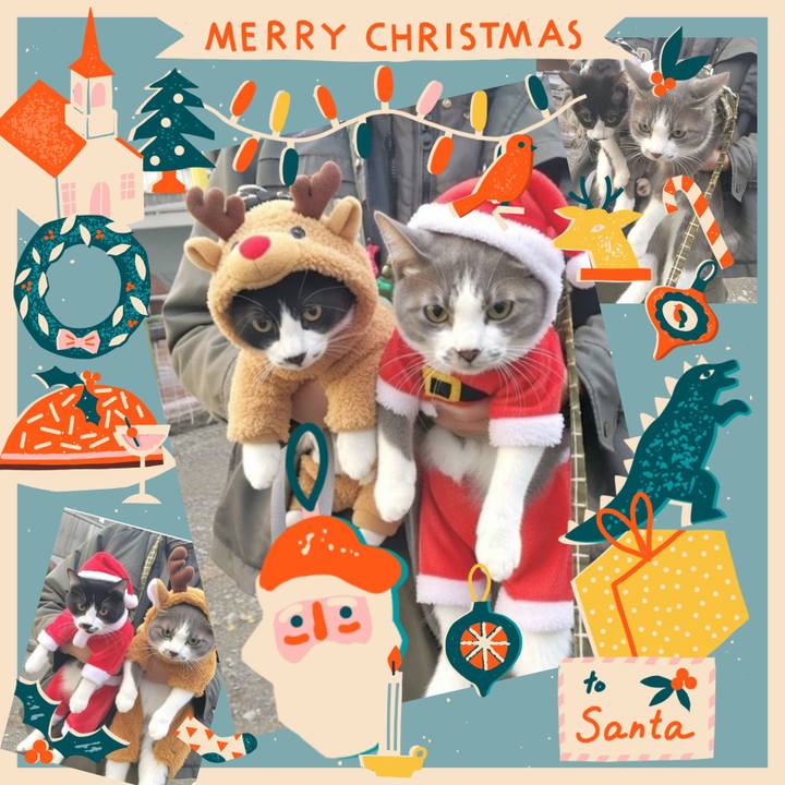 B2c0d012 f046 47b5 b905 93efa27de02f 1766565272427