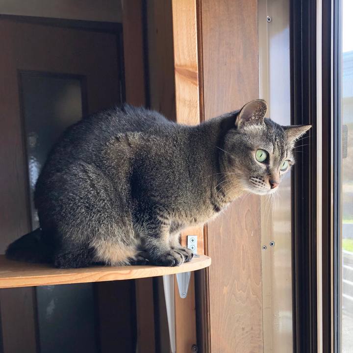 B2c12115 8fdb 468b a3ff e2a438c6c4db 1641189933292