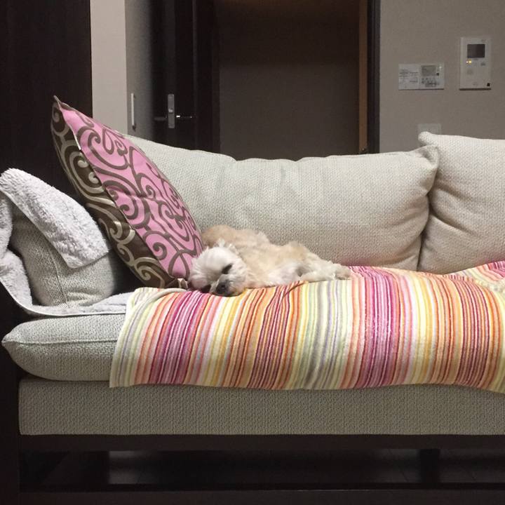 B2c138f4 2f26 4e8d 969d 94cc7f1c58b1 1554035940869