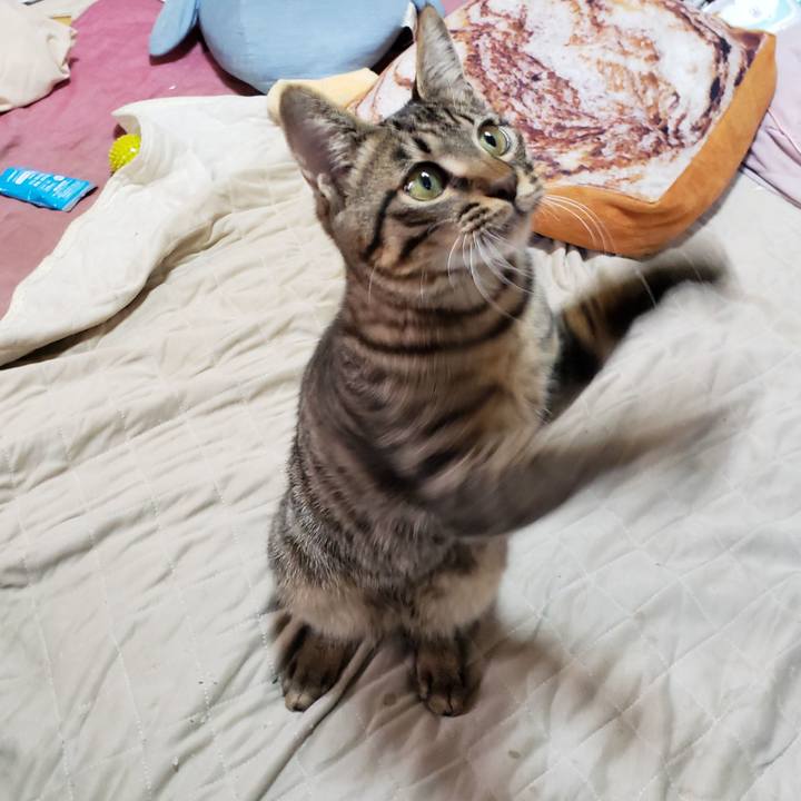 B2c168ca 8c8f 467e 99b7 a0405c3ee967 1543641170396