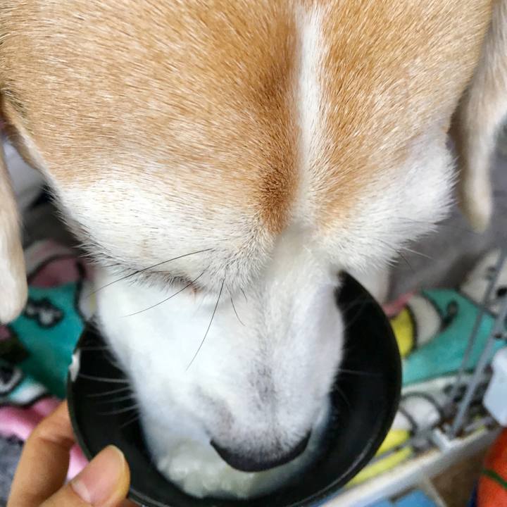 B2c193e1 06fd 4dbf ae1e 36819f5c3dbd 1545623553268