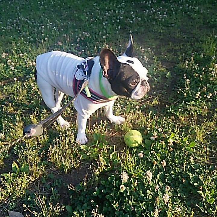 B2c19572 31f1 4324 9760 3c6469620905 1527164372007