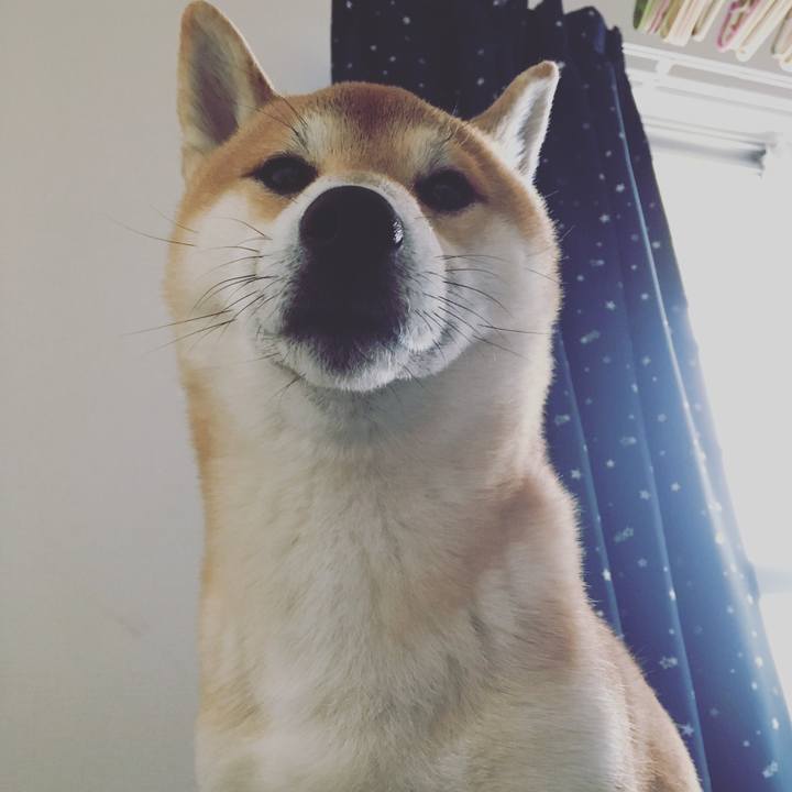 B2c1d848 dac9 4426 9178 1cfb989c31b4 1518911694354